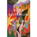 Black Butterflies: the exquisitely crafted debut novel that captures life inside the Siege of Sarajevo