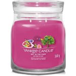 Yankee Candle Signature ART IN THE PARK 368 g – Hledejceny.cz