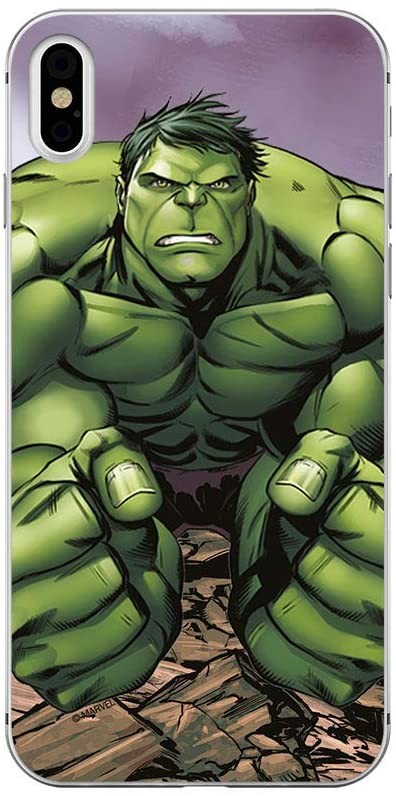 Pouzdro ERT Ochranné iPhone XS / X - Marvel, Hulk 004