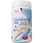 Orling - Chondrocan Forte 500 g – Hledejceny.cz