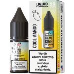 Aroma King Salt Cool Mango 10 ml 20 mg – Hledejceny.cz