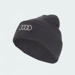 adidas Audi Revolut F1 tmavě šedá x týmová edice – Hledejceny.cz