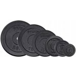 HMS litinový kotouč 5 kg 31 mm – Zboží Dáma HMS litinový kotouč 5 kg 31 mm – Zboží Dáma