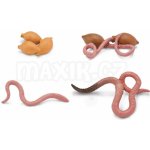 Safari Životní cyklus Žížala – Zbozi.Blesk.cz