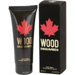 Dsquared2 Wood for Him ASB 100 ml – Hledejceny.cz