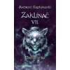 Kniha Zaklínač VII: Paní jezera - Andrzej Sapkowski