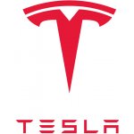 Opravná tužka na auto Tesla 100ml PPSW WHITE WATER PEARL