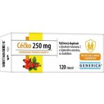 Generica Céčko 250 mg vitamín C 120 tablet – Hledejceny.cz