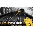 AudioSurf