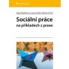 Elektronická kniha Sociální práce na příkladech z praxe - Olga Klepáčková, Zuzana Krejčí, Martina Černá