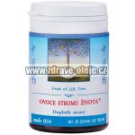 TCM Herbs Ovoce stromu života 100 tablet – Hledejceny.cz
