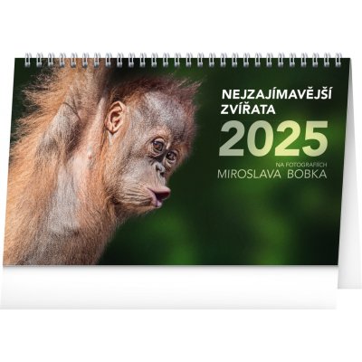 NOTIQUE Stolní Nejzajímavější zvířata 23,1 x 14,5 cm 2025 – Zboží Mobilmania