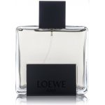 Loewe Solo Mercurio parfémovaná voda pánská 100 ml – Hledejceny.cz