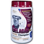 Orling Gelacan Champion černobílý 500 g – Hledejceny.cz
