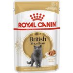 Royal Canin British Shorthair Gravy 85 g – Hledejceny.cz