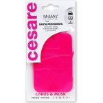 Mr&Mrs Fragrance Cesare Scented Cards Citrus & Musk – Hledejceny.cz