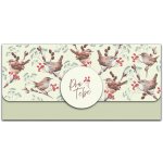 Albi Magnetická obálka na peníze - Ptáčci (Pro Tebe) – Zboží Dáma