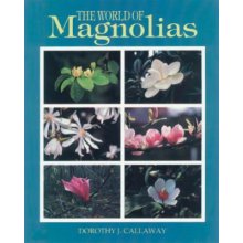The World of Magnolias Callaway Dorothy J.Paperback
