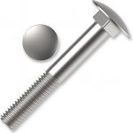 Šroub vratový DIN 603, M12x160, zinek bílý – Zboží Mobilmania