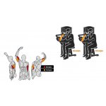 BH Fitness Biceps/Triceps L140 – Zboží Mobilmania