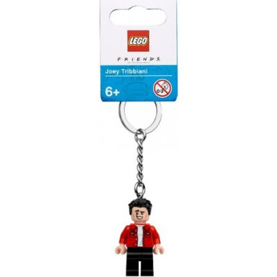 LEGO® Friends 854119 Joey Tribbiani – Zboží Mobilmania