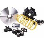 Variátor Malossi Multivar 2000 SYM, Peugeot 125 M5118659 | Zboží Auto