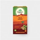 Organic India Tulsi Ginger BIO 25 sáčků