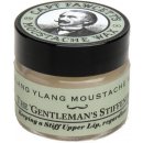 Captain Fawcett Moustache Wax vosk na knír Ylag Ylang 15 ml