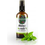 Purity Vision Bio Mátová voda 100 ml – Hledejceny.cz