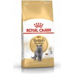 Royal Canin Breed Feline British Shorthair Adult 10 kg – Zboží Mobilmania