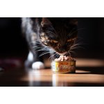 Marp Holistic Plus kuřecí paté s hovězími kousky 70 g – Hledejceny.cz