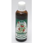 Naděje P27 Lesní bez hroznatý tinktura z pupenů 50 ml – Hledejceny.cz