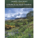 A Walk in an Irish Garden pro příčnou flétnu a klavír – Hledejceny.cz