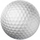 Longridge Blank 2 Piece Golf Ball