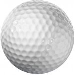 Longridge Blank 2 Piece Golf Ball – Zbozi.Blesk.cz