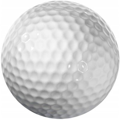 Longridge Blank 2 Piece Golf Ball