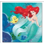 Procos Ubrousky papírové Ariel 33x33cm 20ks – Sleviste.cz
