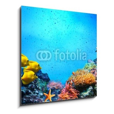 Obraz 1D - 50 x 50 cm - Underwater scene. Coral reef, fish groups in clear ocean water Podvodní scéna. Korálový útes, rybí skupiny v čisté mořské vodě – Hledejceny.cz