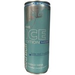 Red Bull The Ice Edition 250 ml – Sleviste.cz
