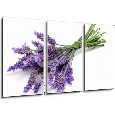 Obraz 3D třídílný - 90 x 50 cm - lavender levandule – Zbozi.Blesk.cz