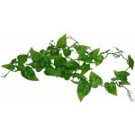 Lucky Reptile Philo Vine 200 cm – Hledejceny.cz