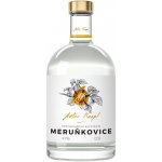 Anton Kaapl Meruňkovice 47% 0,5 l (holá láhev) – Sleviste.cz
