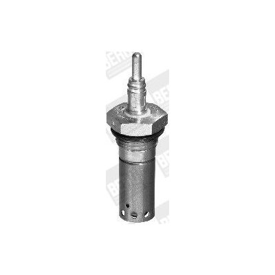BorgWarner (BERU) Žhavící svíčka BERU 0102174306 (BE GH306) – Hledejceny.cz