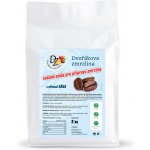 Valknut Směs na zmrzlinu káva 2 kg – Zboží Dáma