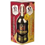 Svijany Svijanský Fanda polot. 11° 4,8% 1 l (sklo) – Sleviste.cz
