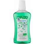 Today Dent Mundspülung Mintfrisch 500 ml – Zboží Mobilmania