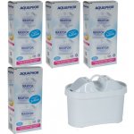 Aquaphor Maxfor+ B100-25 12 ks – Hledejceny.cz