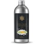 Nanolab Mořská sůl med a jasmín 300 g – Zboží Dáma