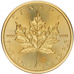 Royal Canadian Mint Zlatá mince Maple Leaf 2024 1 oz – Hledejceny.cz