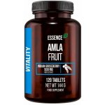 Amla Fruit Essence Nutrition 120 tablet – Hledejceny.cz